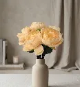 WhatsApp Image 2026-05-08 at 2.02.36 PM (2).webp