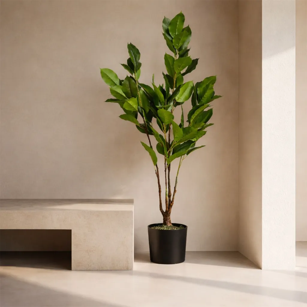 WhatsApp Image 2026-04-18 at 12.10.36 AM (1).webp