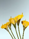 WhatsApp Image 2026-05-09 at 1.56.19 PM (1).webp