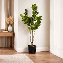 WhatsApp Image 2026-04-18 at 12.10.34 AM (1).webp