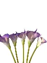 WhatsApp Image 2026-05-09 at 1.56.17 PM (1).webp