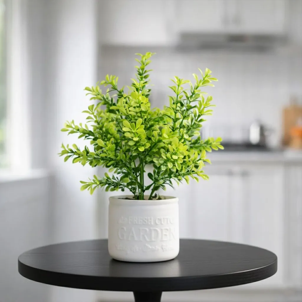 WhatsApp Image 2026-04-18 at 12.10.36 AM (2).webp