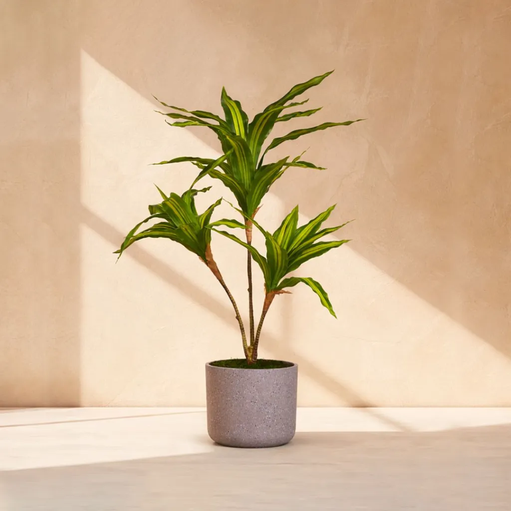 WhatsApp Image 2026-04-18 at 12.10.36 AM.webp