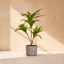 WhatsApp Image 2026-04-18 at 12.10.36 AM.webp