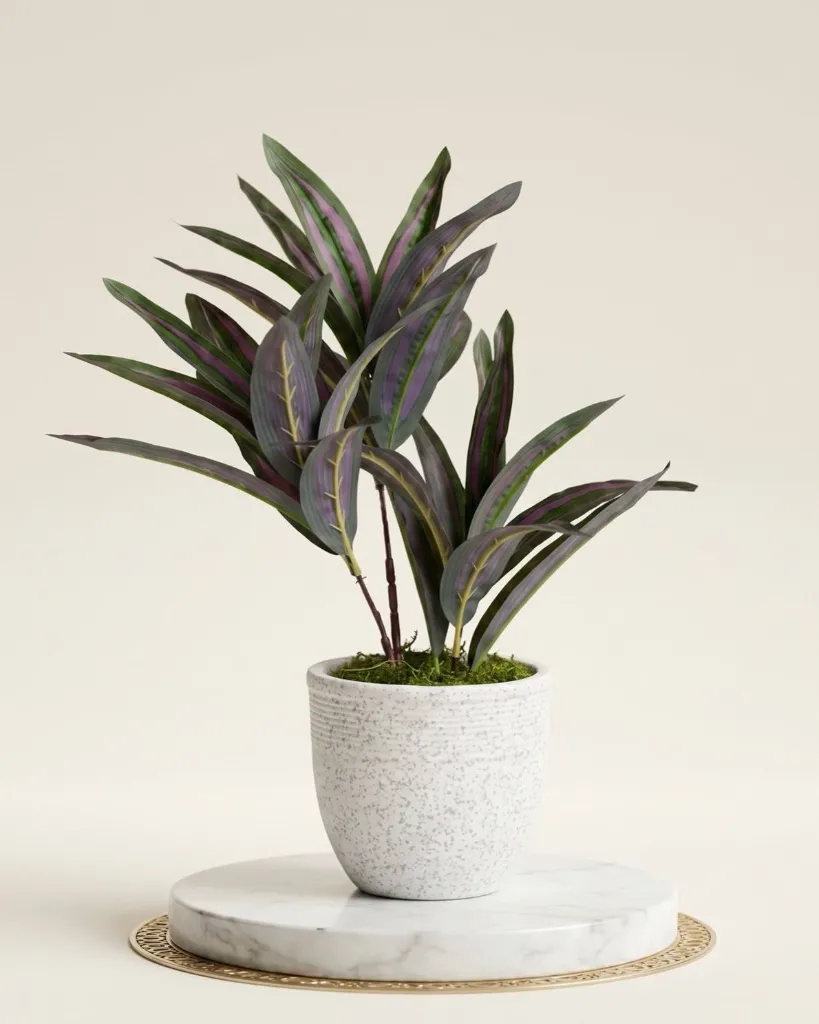 WhatsApp Image 2026-04-18 at 11.31.21 PM.webp