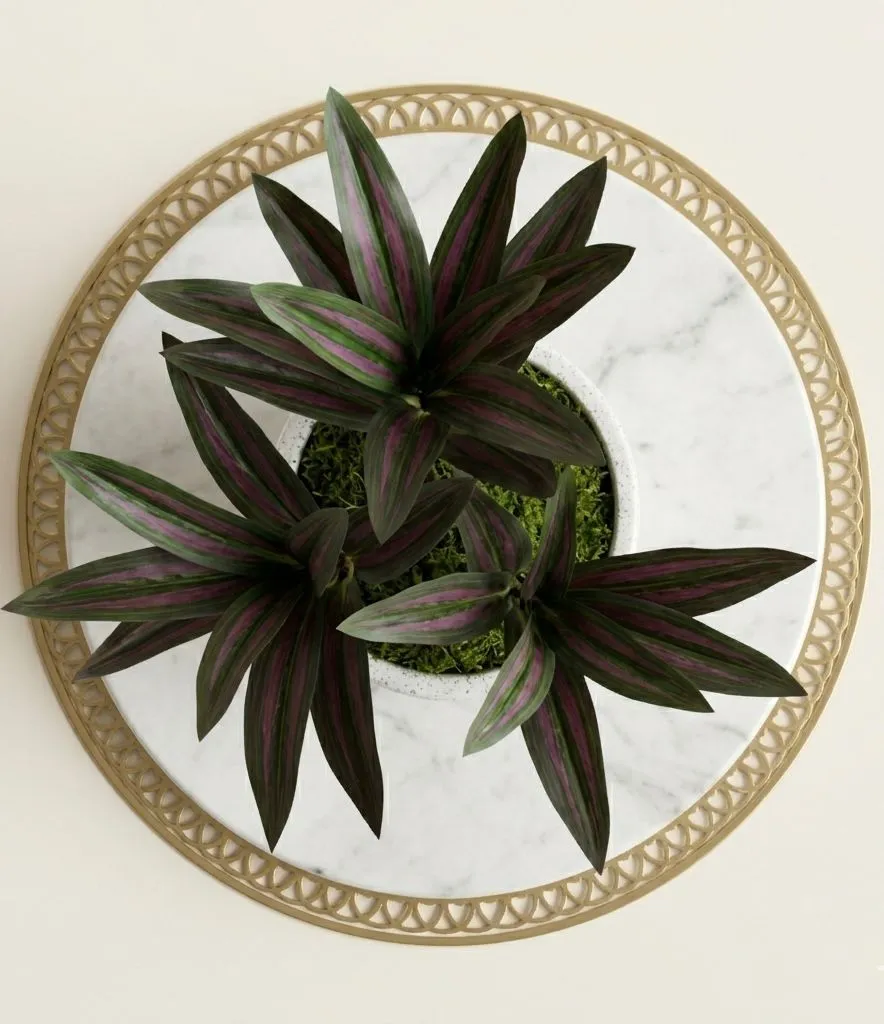 WhatsApp Image 2026-04-18 at 11.31.21 PM (1).webp