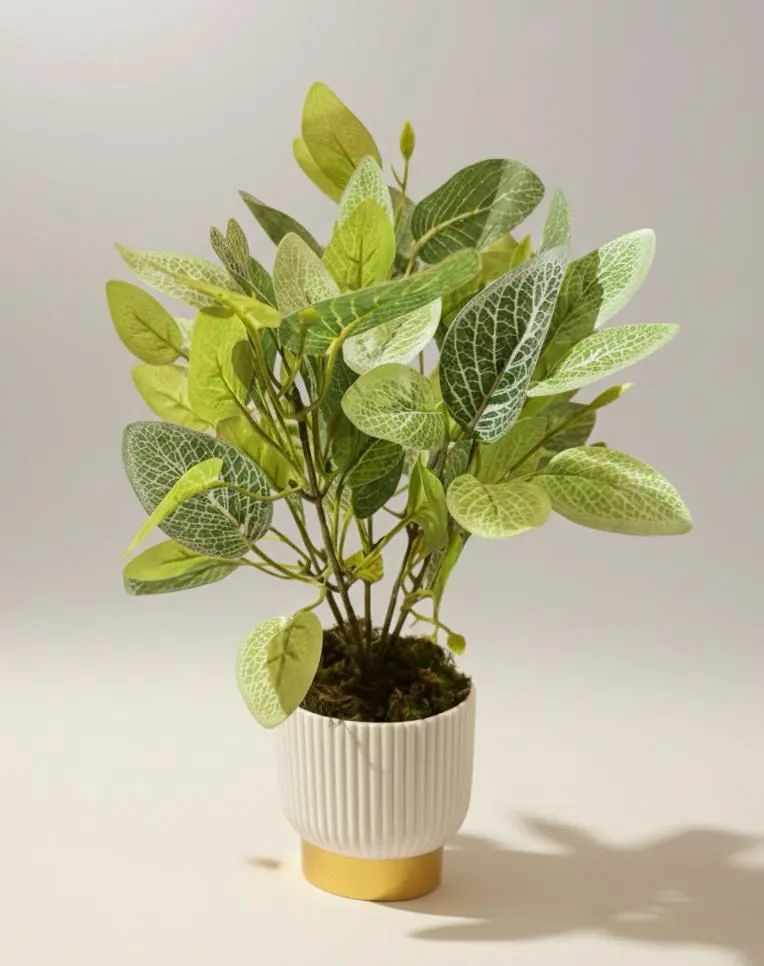 WhatsApp Image 2026-04-18 at 11.30.44 PM.webp