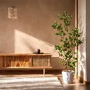 WhatsApp Image 2026-04-18 at 12.10.35 AM.webp