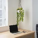 WhatsApp Image 2026-04-18 at 11.27.36 PM (1).webp