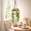 WhatsApp Image 2026-04-18 at 11.27.36 PM.webp