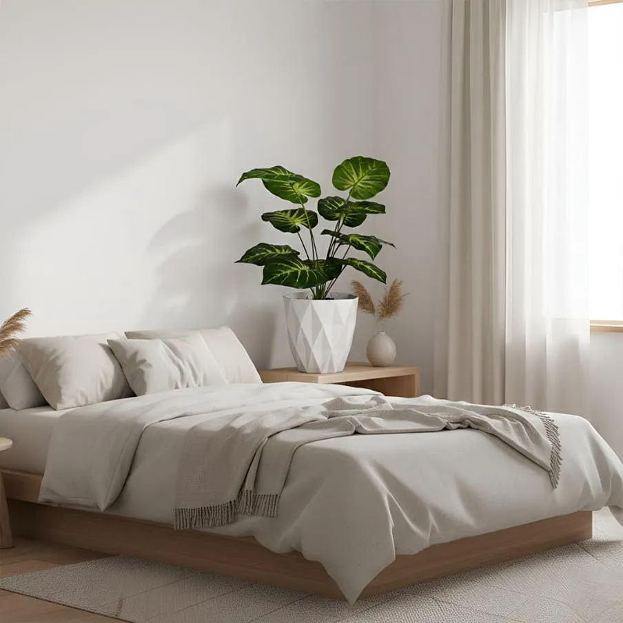 WhatsApp Image 2026-04-19 at 6.57.01 PM.webp