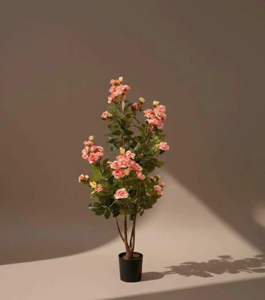 WhatsApp Image 2026-04-19 at 7.05.13 PM.webp