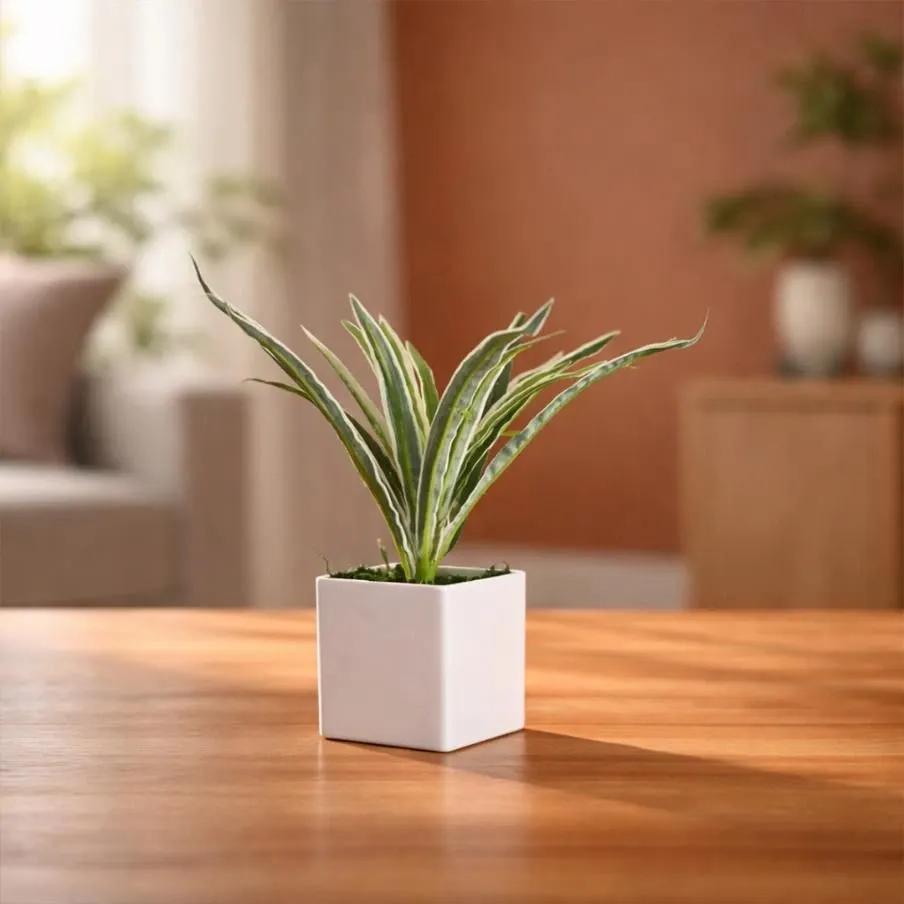 WhatsApp Image 2026-04-19 at 7.42.03 PM.webp