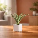 WhatsApp Image 2026-04-19 at 7.42.03 PM.webp