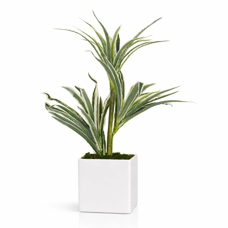 WhatsApp Image 2026-04-19 at 7.42.03 PM (1).webp