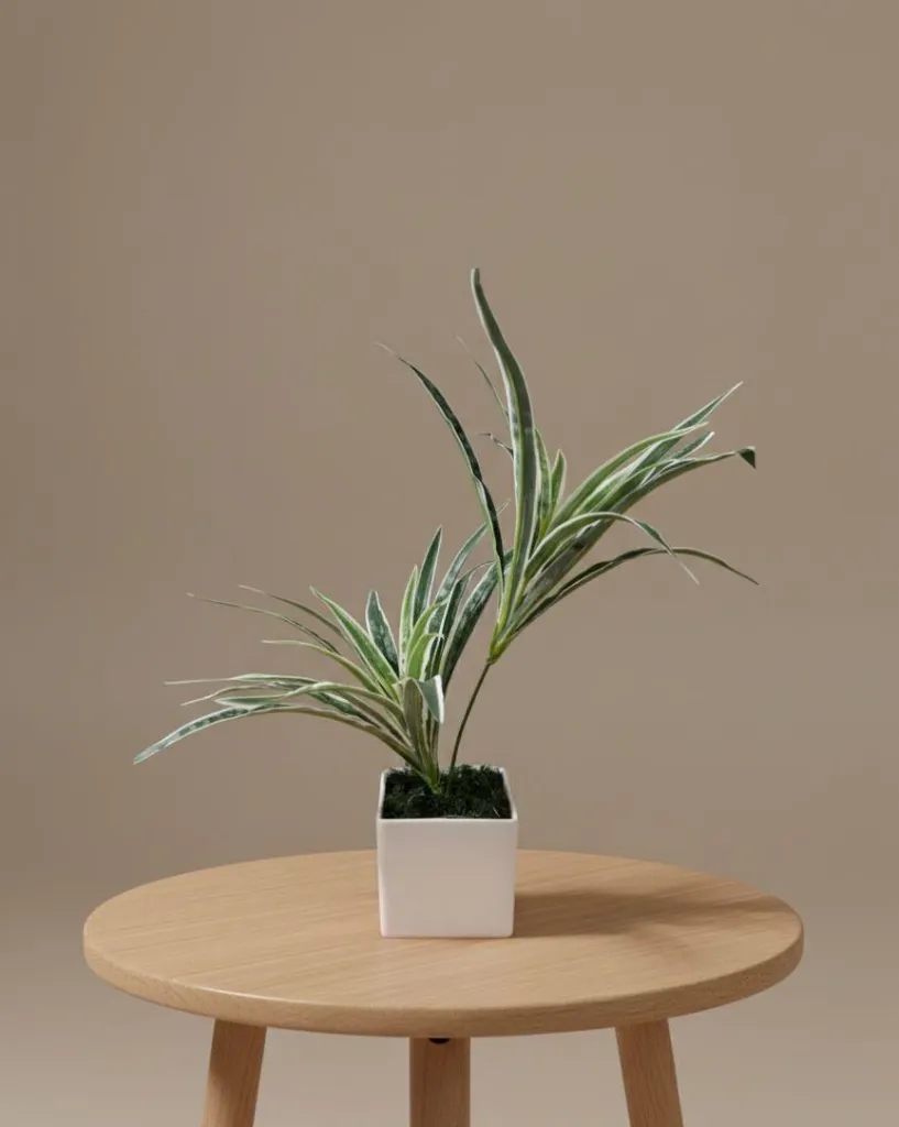 WhatsApp Image 2026-04-19 at 7.42.04 PM (1).webp