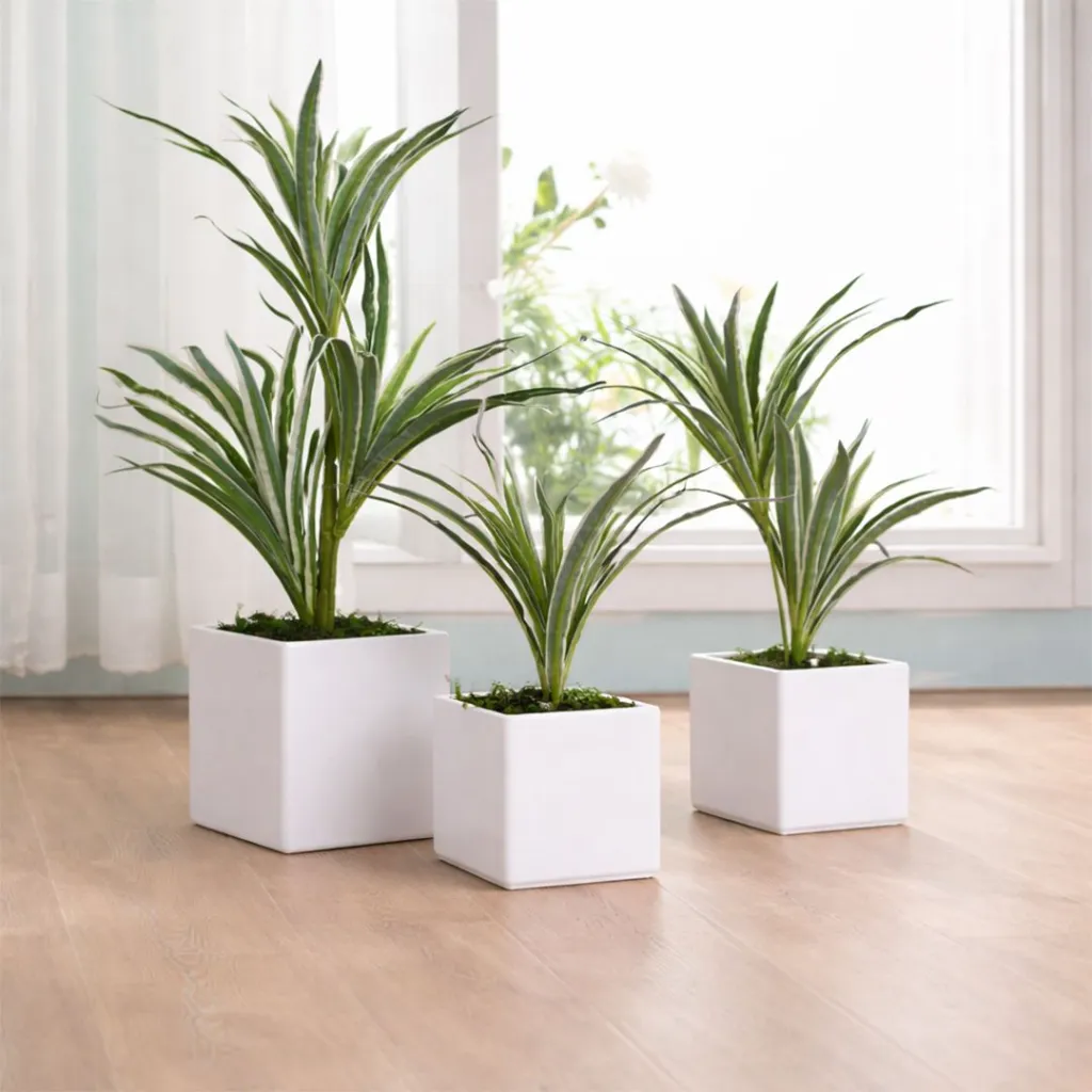 WhatsApp Image 2026-04-18 at 1.26.57 AM.webp