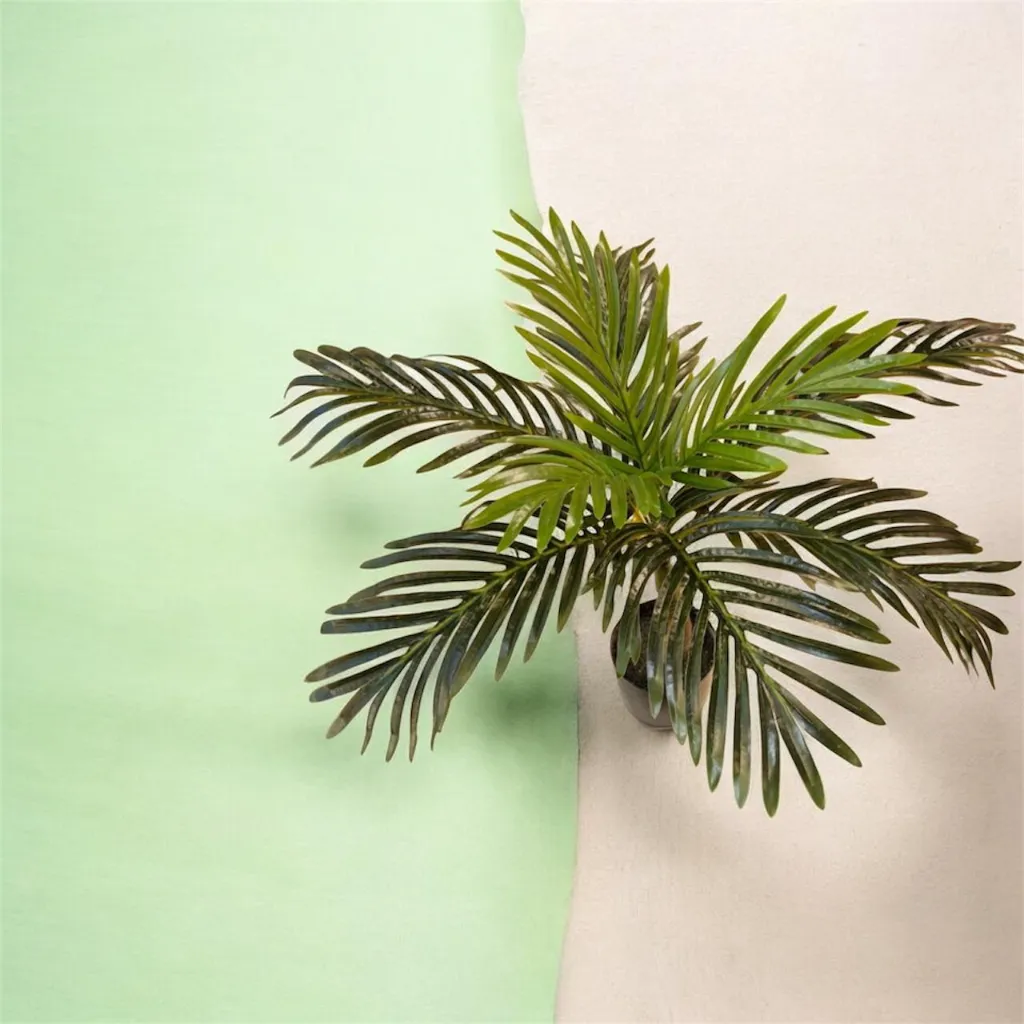 WhatsApp Image 2026-04-21 at 10.58.25 PM (1).webp