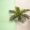 WhatsApp Image 2026-04-21 at 10.58.25 PM (1).webp