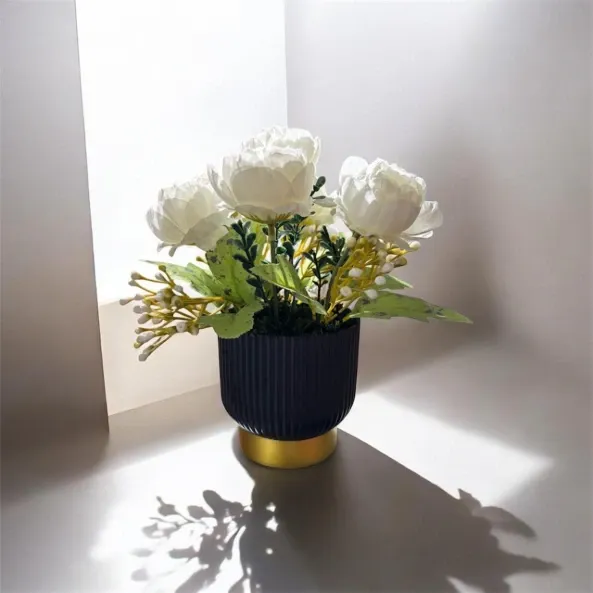 WhatsApp Image 2026-04-21 at 10.56.30 PM (1).webp