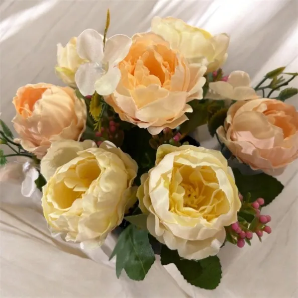 WhatsApp Image 2026-04-21 at 10.56.41 PM.webp