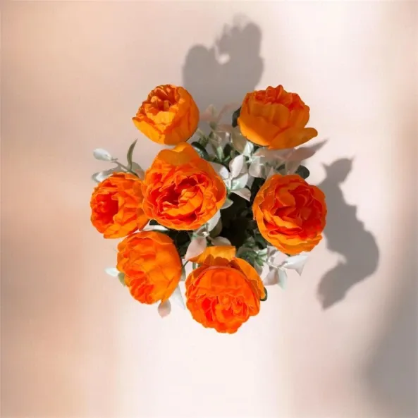 WhatsApp Image 2026-04-21 at 10.55.12 PM.webp