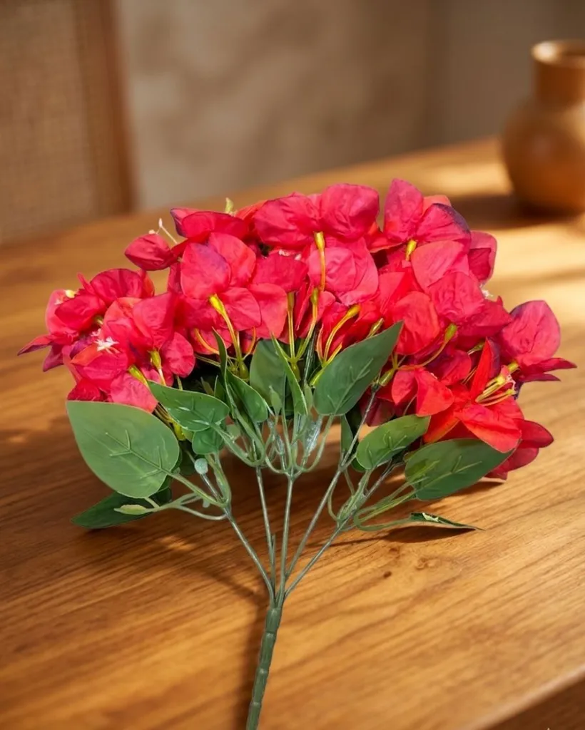 WhatsApp Image 2026-04-26 at 9.11.27 PM (1).webp