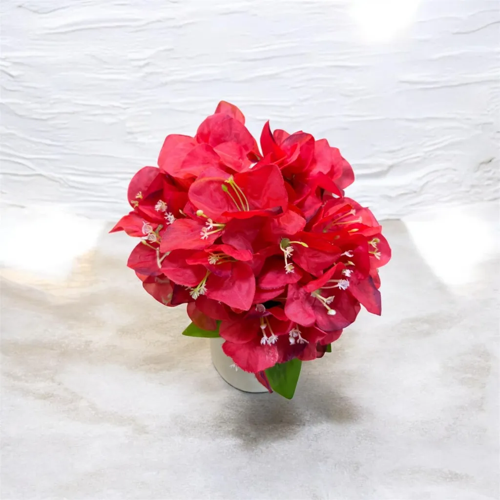 WhatsApp Image 2026-04-26 at 9.11.26 PM (1).webp