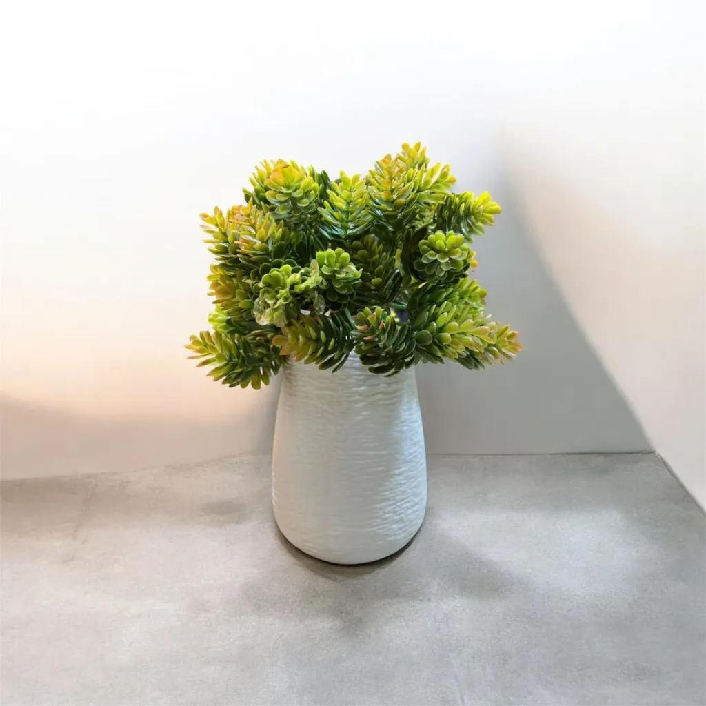 WhatsApp Image 2026-04-25 at 7.51.32 PM (1).webp