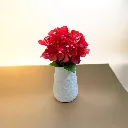 WhatsApp Image 2026-04-26 at 9.11.26 PM.webp