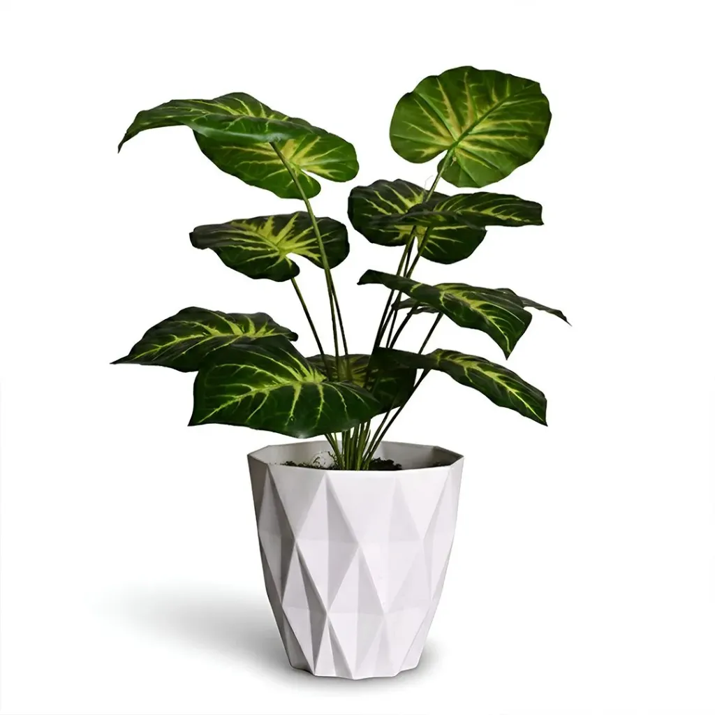 Artificial Money Plant