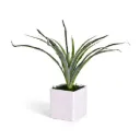 Artificial Mini Spiked Agave Plant