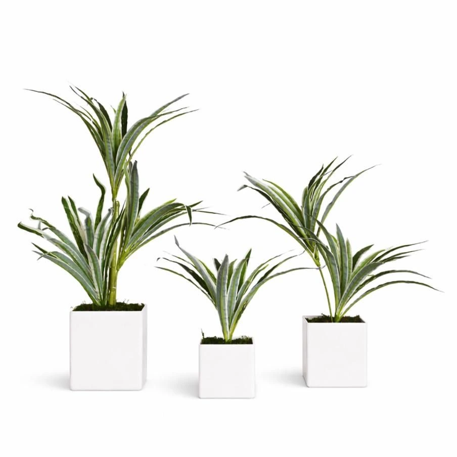 Artificial Spiked Agave Plant ( Set of 3)