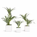 Artificial Spiked Agave Plant ( Set of 3)