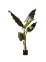 Artificial Alocasia Plant