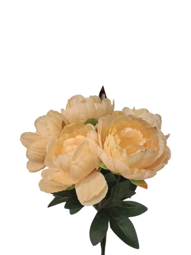 Creamy Champagne Peony Stem