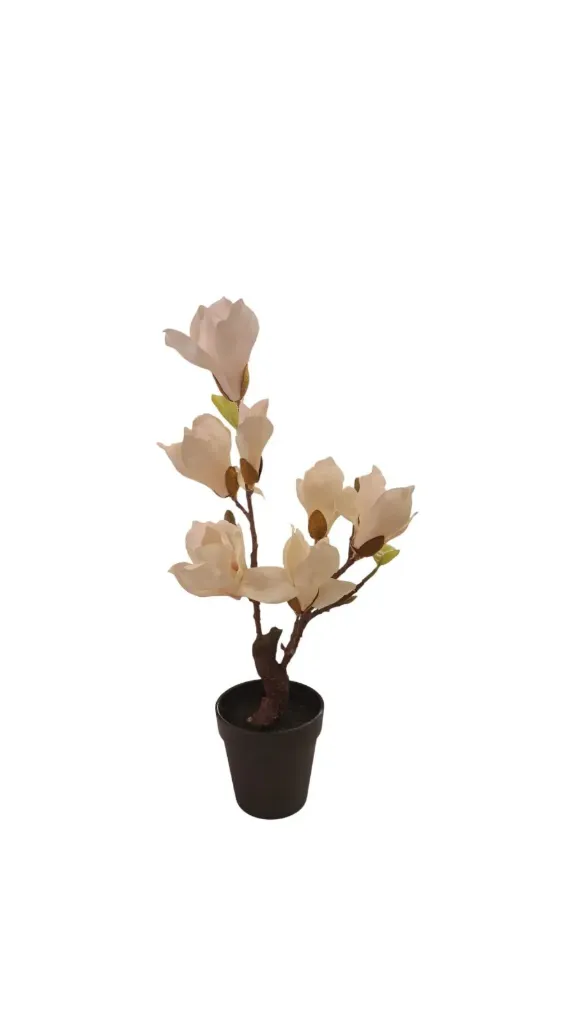 Cream White Artificial Magnolia Bonsai plant