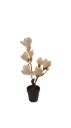 Cream White Artificial Magnolia Bonsai plant