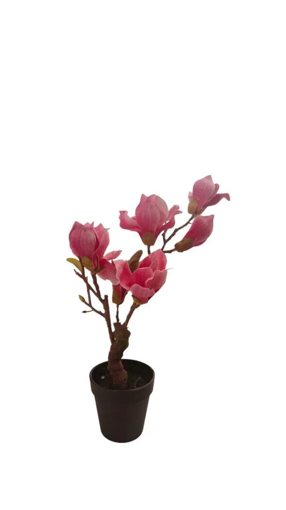Blush Pink Artificial Magnolia Bonsai Plant